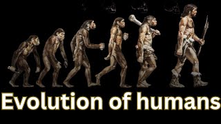 quotEvolution of Humans From Early Ancestors to Modern Manquot [upl. by Sitoeht]