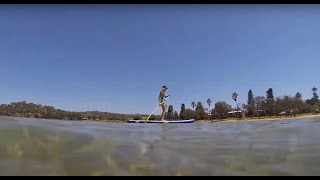 Narrabeen Caravan Park Surfing  Supping Fishing and Fantastic time  Sydney Lakeside Holiday Park [upl. by Toiboid]