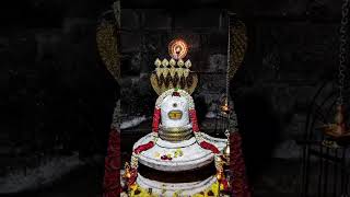 Subha subha le shiv ka naam subscribe [upl. by Merow]