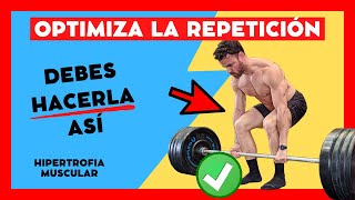 FASE EXCÉNTRICA ¿Es IMPORTANTE para la GANANCIA MUSCULAR o NO 💪🏻⚠️ [upl. by Charmane943]