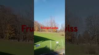 shortsvideo frutigenswiss [upl. by Chambers671]