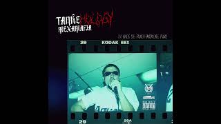 19 Tankeone MXM amp Patrón BSNC  Maldito dinero ft Yusak LaSantaGrifaOfficial [upl. by Sitto153]