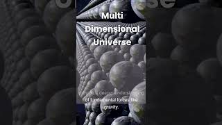 The MultiDimensional Universe [upl. by Derick975]