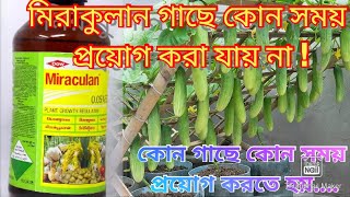 মিরাকুলান miraculanকোন সময় প্রয়োগ করা যায় না কোন সময় প্রয়োগ করতে হয়  miraculan use bengali [upl. by Silverts]