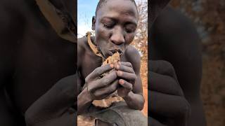 Its Lunch time See how Hadza cooks their favorite meal today 😋😍‼️hadzabetribe villagelife food [upl. by Madlen]