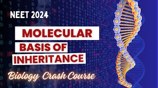 Molecular Basis of Inheritance Part 1  NEET 2024 Biology Crash Course  Analysis Orbis [upl. by Elleinod]