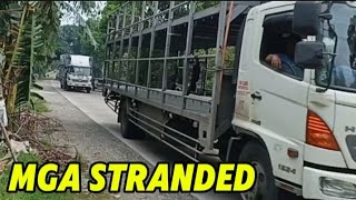 ANG DAMI DUMADAAN NA MGA STRANDED NA TRACK GALING BICOL TO MANILA [upl. by Lehar732]