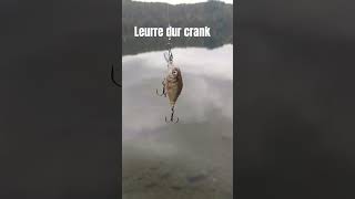 Leurre dur crank animation [upl. by Annair]