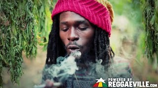 Jesse Royal  Gimmie Likkle  Finally Official Video 2015 [upl. by Gregor]