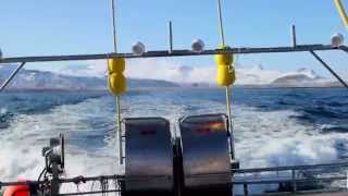 Icelandic Cod Fisheries From Catch to Consumer [upl. by Pandora507]