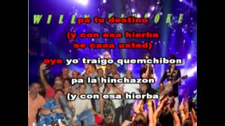 EL YERBERO MODERNO KARAOKE CELIA CRUZ [upl. by Noryahs]