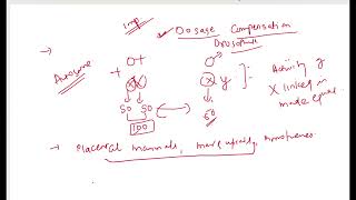 DOSAGE COMPENSATION IN DROSOPHILA [upl. by Rebe]