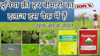 streptocyclin fungicide  streptocyclin use in agriculture in hindi  streptocyclin ke fayde [upl. by Faye]