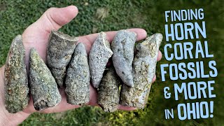 Finding Fossils While Exploring a Private Creek in Ohio [upl. by Aiyn]