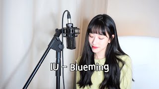 아이유IU  Blueming COVER by 보라미유 [upl. by Tera]