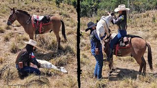 BEZERRA QUEBRA A COLUNA😢 A CHANCE DE SOBREVIVER É MÍNIMA [upl. by Elwee]