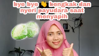 Cara meredakan nyeri payudara saat menyapih [upl. by Nohsyar]