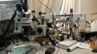 Soldering Microscope Stereo on Boom Stand review solder micro surgery AmScope Microscope [upl. by Libenson]