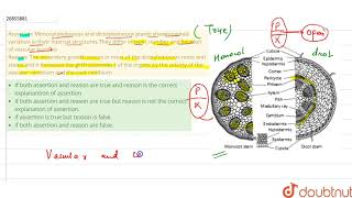 Assertion Monocotyledonous and dicotyledonous plants shownmarke [upl. by Elleined]