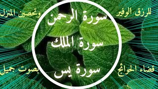 سورة يس 🌷 سورة الرحمن 💐 سورة الملك سبحان من خلق هذا الصوت لزيادة الرزق وقضاء الحوائج [upl. by Neehahs]