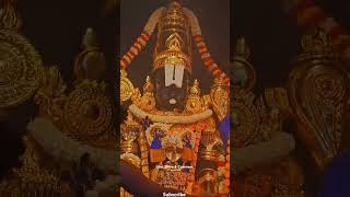 Srinivasa Govinda  Venkateshwara Swami  Tirupathi  तिरूपती music cover song [upl. by Aihseuqram673]