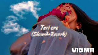 Teri ore SlowedReverb Full lovely lofii song 🙊🌎 [upl. by Lishe]