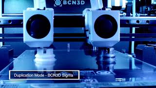 BCN3D Sigma  Duplication Mode [upl. by Noyek]