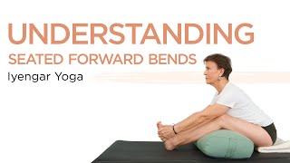 Iyengar Yoga PaschimottanasanaUnderstanding Seated Forward BendsBeginner Yoga [upl. by Aiuqenehs104]