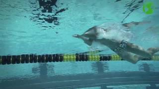 Michael Phelps training ✪swimming tips ✪ live part 9 🏆 Breaststroke Drills [upl. by Peacock725]