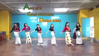 Ane gite Galo song perform by DPVB Cultural dance competition 2021 [upl. by Ahsiekahs]