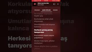 Sözler Şerefsiz Oldu  Lyrics  shorts keşfet edit tiktok ytmusic [upl. by Verbenia388]