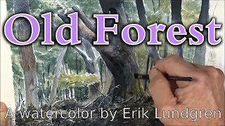 Old Forest  A watercolor by Erik Lundgren [upl. by Tsirc]