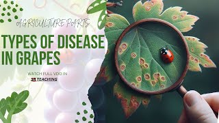 DISEASES OF GRAPEVINE [upl. by Gates]