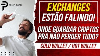 O MELHOR LUGAR PARA GUARDAR SUAS CRIPTOS Diferença entre EXCHANGE HOT WALLET E COLD WALLET LEDGER [upl. by Ordnasela]