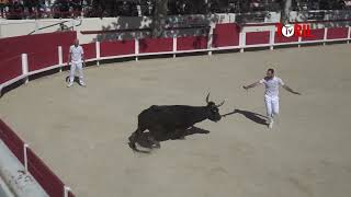 FONTVIEILLE 17 avril 2022  Retour sur la course camarguaise [upl. by Eitsirk]