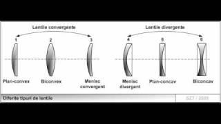 Lentile [upl. by Adnaw98]