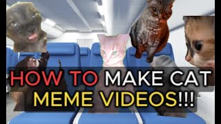 How To Make a Cat Meme Video😹😸 [upl. by Tesler]