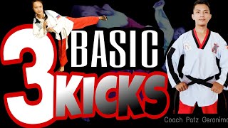 SIKARAN Martial Arts 3 FUNDAMENTAL BASIC KICKS TUTORIAL Tagalog  English [upl. by Cory]