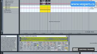 Ableton Tutorial How to make turntable FX sounds [upl. by Mazur]