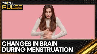 Structure of female brain changes throughout menstrual cycle  WION Pulse [upl. by Kcirdek]