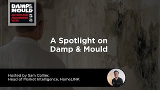 Webinar  A Spotlight on Damp and Mould [upl. by Bornstein]