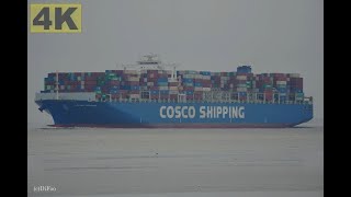 COSCO DENMARK  Shipspotting Germany 🇩🇪 IMO 9516478  Elbe near Otterndorf  4K VIDEO [upl. by Nohtiek531]