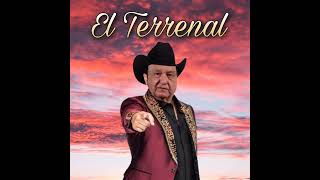 AMLO  El Terrenal IA Cover [upl. by Anertal]