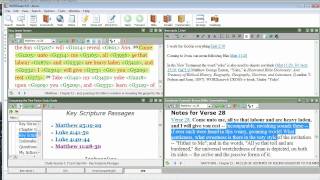 JulieAllyson Ieron Bible Reference Collection on Wordsearch 90 [upl. by Piegari]