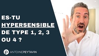 Les 4 types d’HyperSensibles [upl. by Stoneham]