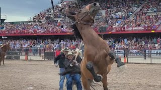 Wild Horse Race Cheyenne frontier days 2022 [upl. by London639]