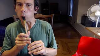 Morrisons Jig  Tin Whistle [upl. by Bethany380]