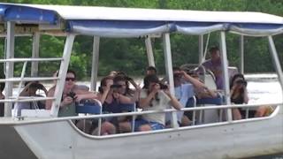 Bruce Belcher´s Daintree River Cruises in Tropical North QLD by Grasshopper Travel [upl. by Lilly]