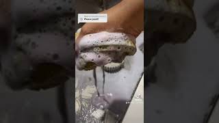 Pink Pinalen  Foca powder ASMR sink scrub amp clean  sponge squeezing [upl. by Matland]