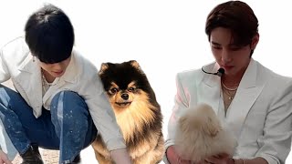 Taehyung ne kiya yeontan ke sath dhokha 🤣Hindi dubbing 😝 [upl. by Thatch]